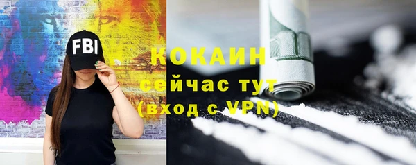 молекула духа Арсеньев